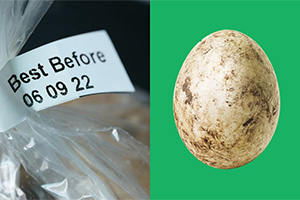 13 Foods You Should Never Eat After Their Expiration Dates